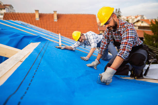Best Sheet Metal Roofing  in Brooksi, DE